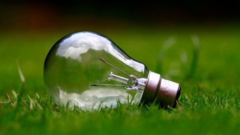 Jak zaoszczędzić na opłatach za media? 1 Photo Energy-saving bulbs