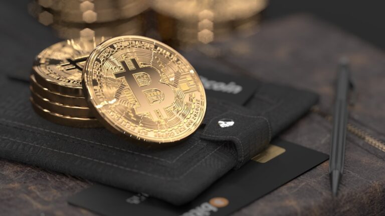 Fintech: Przyszłość finansowych innowacji 1 Photo Digital wallet
