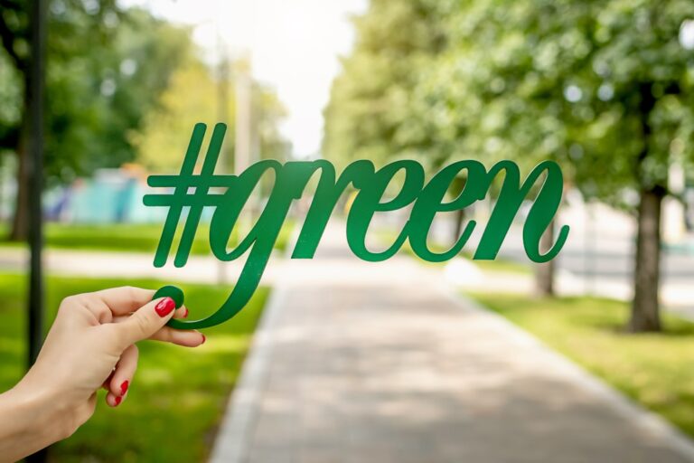 Finanse zielone inwestycje: nowy trend na rynku finansowym 1 Photo green investments